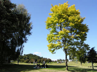 090920_1348_やまびこの丘公園（木島平村）