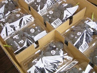 090922_1113_２００９すこうぶどうまつり（須坂市）