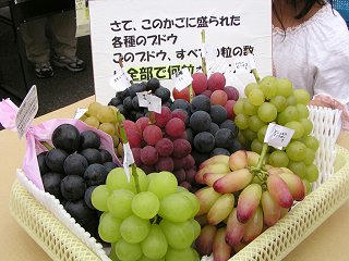 090922_1117_２００９すこうぶどうまつり（須坂市）