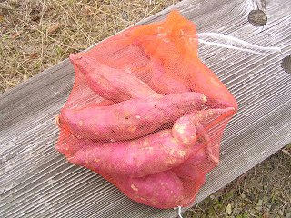 091011_1047_２００９月の里収穫祭（麻績村）