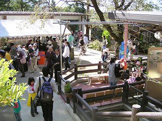 091012_1144_秋の動物園まつり（須坂市）