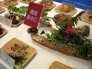 091024_1030_２００９長野まるごと秋祭り・第３２回信州きのこ祭り（長野市）