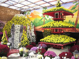 091031_0956_第２２回信州須坂大菊花展（須坂市）