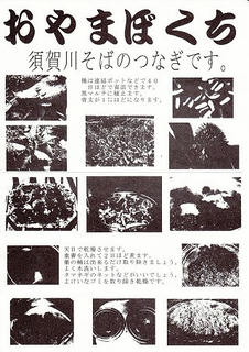 09_おやまぼくち