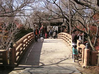 091107_1219_山麓一の麺街道フェスタ２００９ in 伊那（伊那市高遠町）