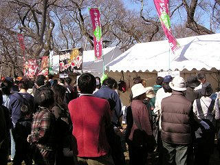 091107_1226_山麓一の麺街道フェスタ２００９ in 伊那（伊那市高遠町）