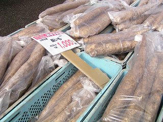 091114_1156_Ａコープやまがた店「長いもまつり」（山形村）