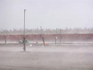 091114_1200_Ａコープやまがた店「長いもまつり」（山形村）