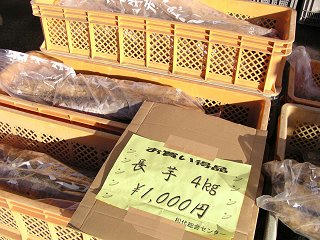 091114_1449_ＪＡグリーン長野「ながいも祭り」（長野市）