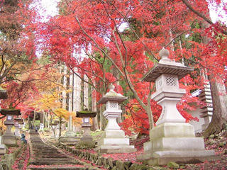 091118_1144_若穂保科・清水寺の紅葉(長野市）