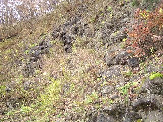 091118_1213_井上の枕状溶岩（須坂市）