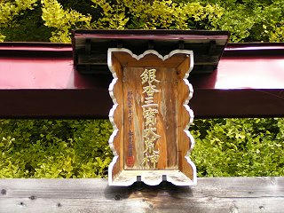 091119_1212_1_神戸のイチョウ（飯山市）