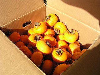 091121_1218_小川村さんさん市場（小川村）