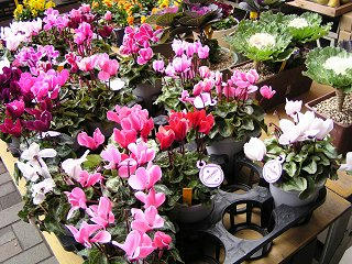 091123_1131_1_道の駅信州千石平（阿南町）