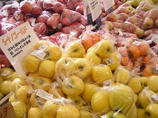 091123_1131_2_道の駅信州千石平（阿南町）