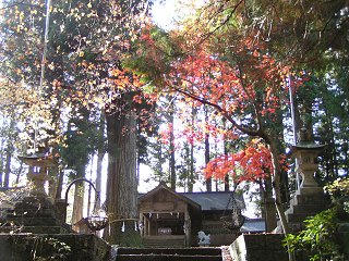 091123_1300_大山田神社（下條村）
