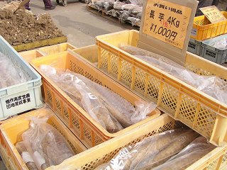 091129_1142_松代ながいも祭り（長野市）