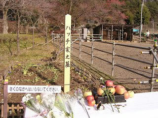 091213_1131_ハッチのお別れ会（須坂市）