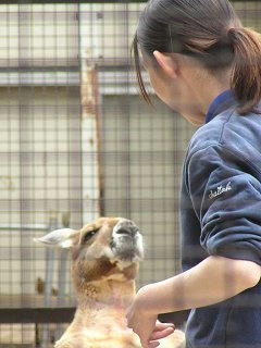 050522_1110_ハッチ（須坂市）