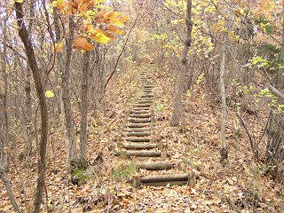 091118_1228_井上城址（須坂市）