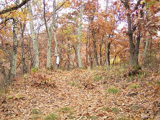 091118_1231_井上城址（須坂市）