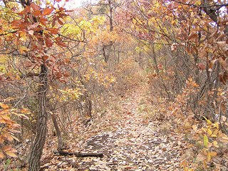 091118_1223_井上城址（須坂市）