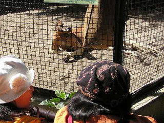 091012_1137_秋の動物園まつり（須坂市）