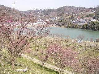 100320_0958_信州新町ろうかく梅園（長野市）