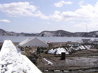 100322_1216_第１８回野尻湖発掘（信濃町）