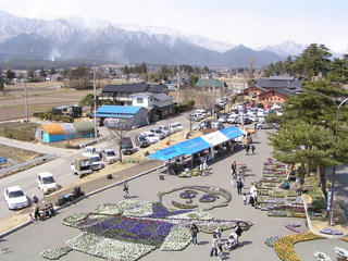 100327_1235_3_花のじゅうたん祭り（松川村）