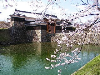 100410_1436_松本城太鼓門とサクラ（松本市）