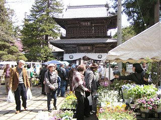 100418_1136_境内アートＯＢＵＳＥ×苗市（小布施町）