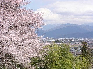 100424_1230_篠ノ井小松原の光林寺のサクラ（長野市）