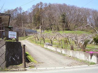 100425_1055_矢筒城跡（飯綱町）