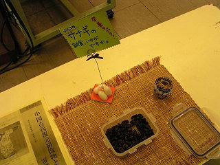 100429_1422_シルクフェア in おかや（岡谷市）