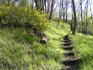 100501_0751_大倉城跡（長野市）