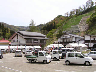 100509_1029_とみくら山菜まつり（飯山市）