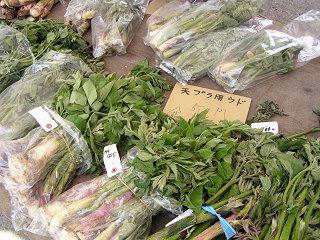 100509_1036_とみくら山菜まつり（飯山市）