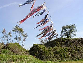 100515_1603_北熊井城跡に泳ぐこいのぼり（塩尻市）