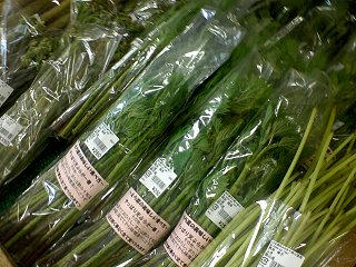 100523_1306_1_道の駅花の駅千曲川の農産物直売所で販売されている「えら葉」（飯山市）