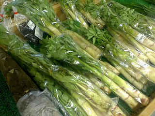 100523_1306_2_道の駅花の駅千曲川の農産物直売所で販売されている「うど」（飯山市）