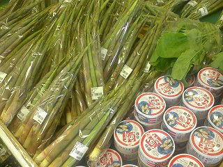 飯山 根曲がり竹 いよいよ店頭に 季節の話題 長野県内の市町村