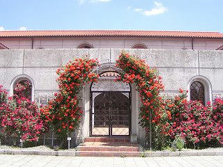 100605_1220_豊科近代美術館に咲くバラ（安曇野市）