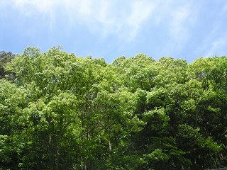 100606_1328_スパ・ワインセンター「スパイン」（高山村）