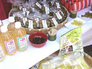 100612_1153_ほお葉祭り・木曽福島会場（木曽町）