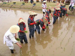 100613_1355_科野のムラお田植えまつり（千曲市）