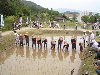 100613_1359_科野のムラお田植えまつり（千曲市）