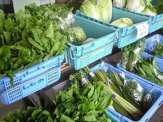 100619_1051_2_道の駅しなの ふるさと天望館（信濃町）