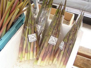 100619_1113_道の駅しなの ふるさと天望館（信濃町）