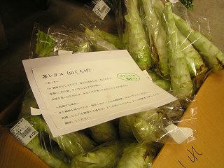 100619_1235_道の駅花の駅千曲川（飯山市）